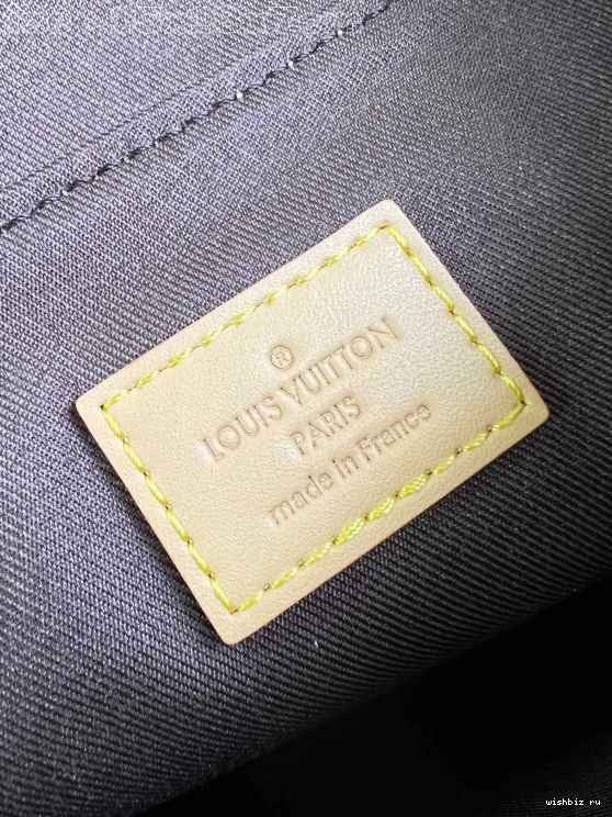 WIS VUITTON LOUIS Steamer Nano 0306